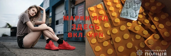 трава Аркадак
