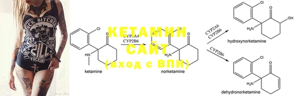 PSILOCYBIN Арсеньев